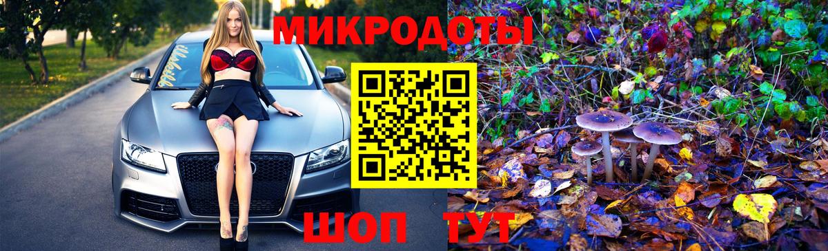 Шадринск  Псилоцибиновые грибы Psilocybine cubensis  Псилоцибиновые грибы Psilocybine cubensis  Вход с VPN 